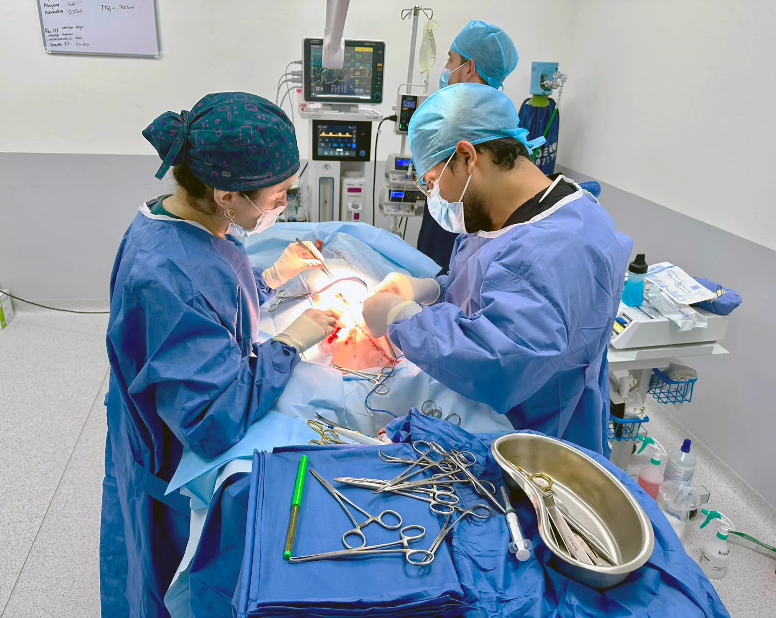 Cirugía oncológica veterinaria