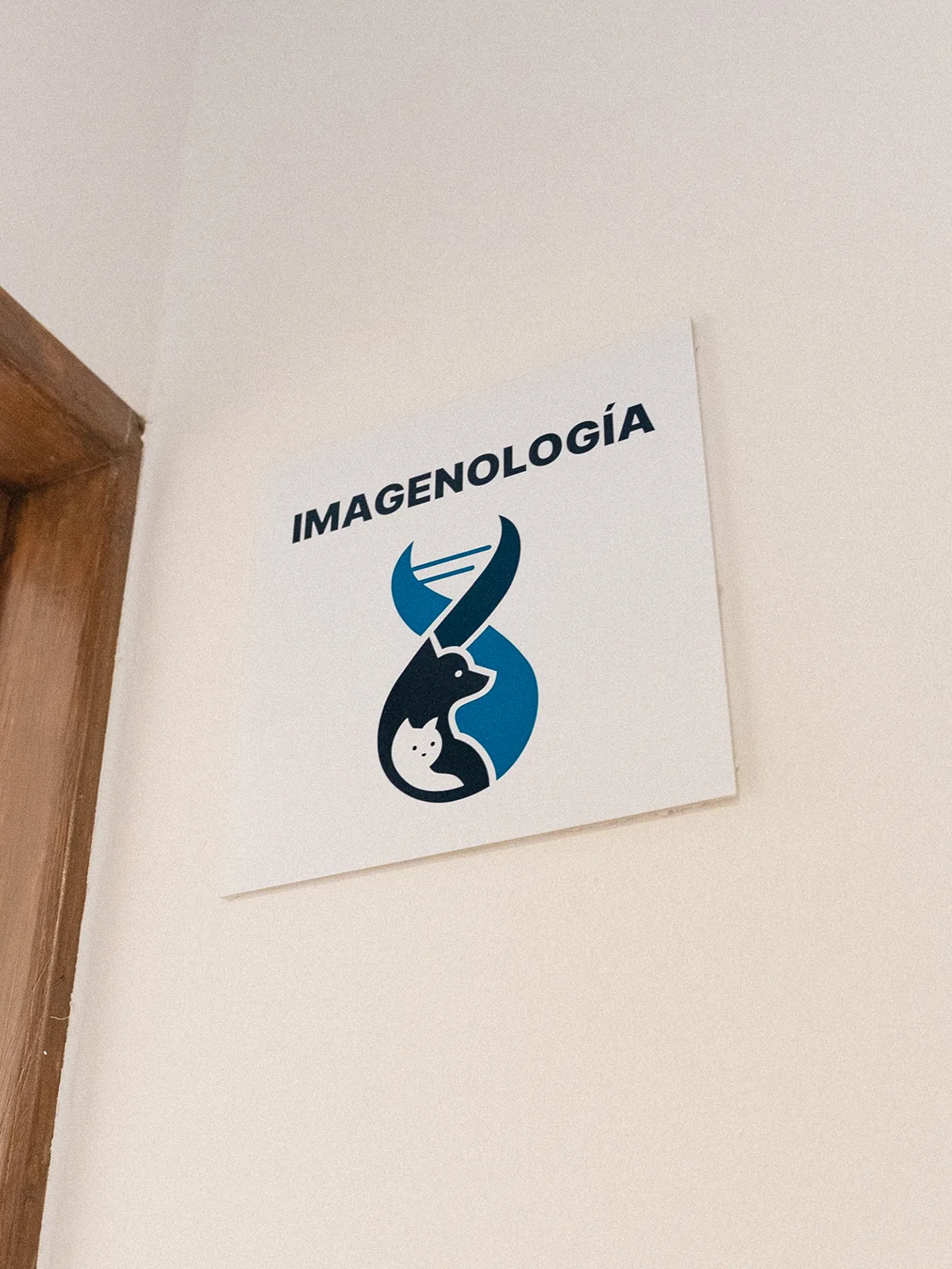 Diagnóstico por imagen oncológico